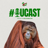 OuCast by BOS Foundation