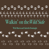 Walkin' on the Wild Side