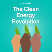 The Clean Energy Revolution