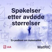 Spøkelser etter avdøde størrelser