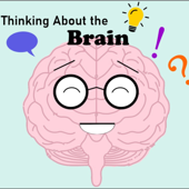 Thinking About the Brain