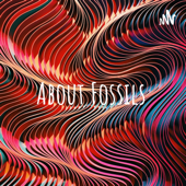 About Fossils