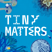 Tiny Matters