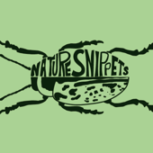 Nature Snippets