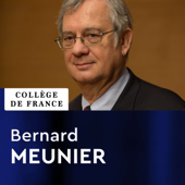 Innovation technologique Liliane Bettencourt (2014-2015) - Bernard Meunier