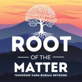 Root of the Matter