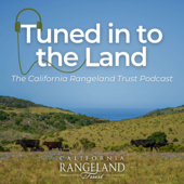 Tuned in to the Land