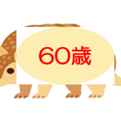 60歳のアルマジロ