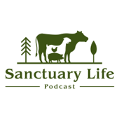 Sanctuary Life Podcast