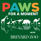 Paws for a Moment