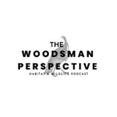 The Woodsman Perspective