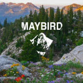 The Maybird Cycling Podcast