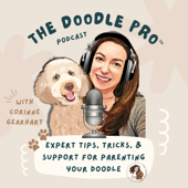 The Doodle Pro® Podcast: Unleashing Expert Training, Grooming, & Health Tips for Doodle Dogs & Puppies