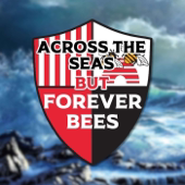Across the Seas but Forever Bees - An American Brentford Podcast