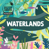 Waterlands