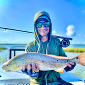 The Empty Stringers Podcast