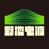 野地电波