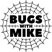 Bugs With Mike