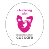Chattering with iCatCare