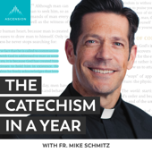 The Catechism in a Year (with Fr. Mike Schmitz)