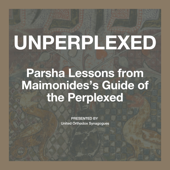 Unperplexed: Parsha Lessons from Maimonides's Guide of the Perplexed