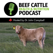 The Beef Cattle Health and Nutrition Podcast