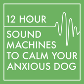 12 Hour Sound Machines to Calm Your Anxious Dog