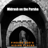 Midrash on every Parsha in the Torah. An intriguing pathway to a deeper understanding of Judaism.