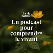 La vie partout