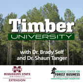 Timber University