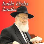 Rabbi Elysha Sandler