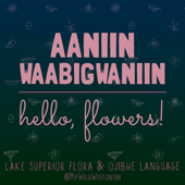 AANIIN WAABIGWANIIN: hello, flowers!