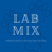 Lab Mix: Raising a Rescue Dog