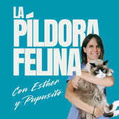 La Píldora Felina – Entiende y cuida mejor a tu gato