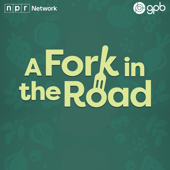 A Fork in the Road