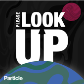 Please Look Up