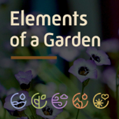 Elements of a Garden