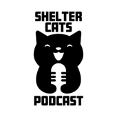 The Shelter Cats Podcast