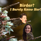 Birder? I Barely Know Her!