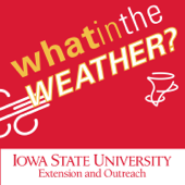 What in the Weather?