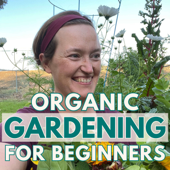 Organic Gardening For Beginners: Practical, Beginner-Friendly Gardening Tips To Grow Your Own Food and Flowers