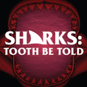 Sharks: Tooth Be Told