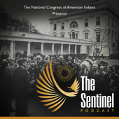 The Sentinel