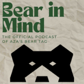 Bear in Mind
