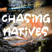 Chasing Natives
