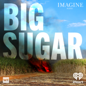 Imagine Audio: Big Sugar