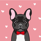 The French Bulldog Podcast By Top Frenchie