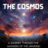 The Cosmos