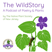 The WildStory: A Podcast of Poetry and Plants by The Native Plant Society of New Jersey