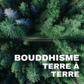 Bouddhisme terre à terre